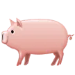 pig for Samsung-plattformen