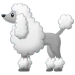 Samsung cho nền tảng poodle