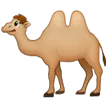two-hump camel alustalla Samsung