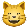 grinning cat with smiling eyes pentru platforma Samsung