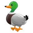 duck voor Samsung platform