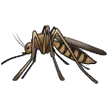 mosquito for Samsung-plattformen