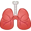 lungs untuk platform Samsung