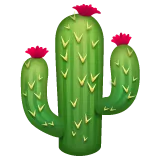 Whatsapp 平台中的 cactus