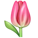 Whatsapp 平台中的 tulip