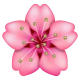 cherry blossom لمنصة Whatsapp