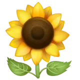 sunflower for Whatsapp-plattformen