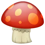 mushroom สำหรับแพลตฟอร์ม Whatsapp