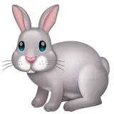 Whatsapp dla platformy rabbit