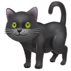 Whatsapp प्लेटफ़ॉर्म के लिए black cat
