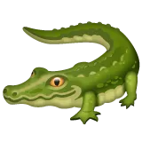 crocodile för Whatsapp-plattform