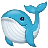 whale för Whatsapp-plattform