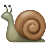 Whatsapp 平台中的 snail