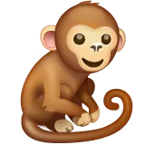 monkey for Whatsapp-plattformen