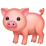 pig لمنصة Whatsapp
