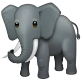 elephant pour la plateforme Whatsapp
