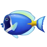tropical fish for Whatsapp platform