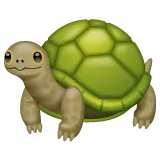 turtle for Whatsapp-plattformen