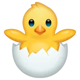 Whatsapp प्लेटफ़ॉर्म के लिए hatching chick