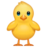 Whatsapp 平台中的 front-facing baby chick