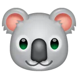 koala pour la plateforme Whatsapp
