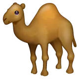 Whatsapp platformon a(z) camel képe