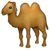 two-hump camel til Whatsapp platform