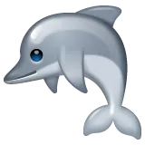 dolphin per la piattaforma Whatsapp
