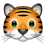 tiger face för Whatsapp-plattform