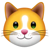 cat face for Whatsapp platform