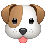 Whatsapp 平台中的 dog face