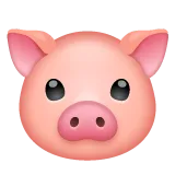 pig face per la piattaforma Whatsapp