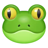 Whatsapp platformu için frog