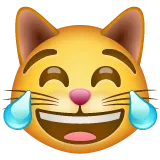 Whatsapp 平台中的 cat with tears of joy
