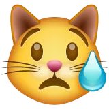 crying cat for Whatsapp platform