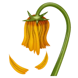 wilted flower para la plataforma Whatsapp