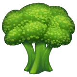 Whatsapp प्लेटफ़ॉर्म के लिए broccoli
