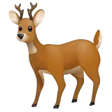 deer untuk platform Whatsapp