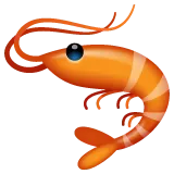 shrimp för Whatsapp-plattform