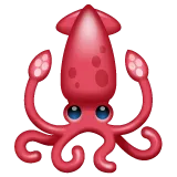 squid for Whatsapp platform