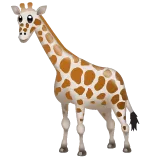giraffe für Whatsapp Plattform