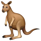 kangaroo för Whatsapp-plattform