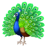 Whatsapp platformon a(z) peacock képe