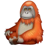 orangutan alustalla Whatsapp