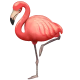 Whatsapp platformon a(z) flamingo képe