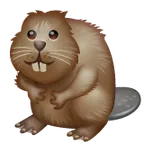 Whatsapp 平台中的 beaver