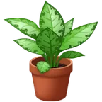 Whatsapp 平台中的 potted plant