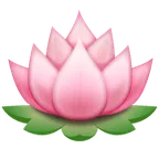 lotus pour la plateforme Whatsapp