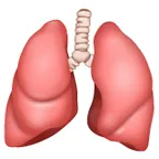 lungs สำหรับแพลตฟอร์ม Whatsapp