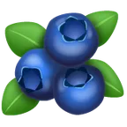 blueberries for Whatsapp platform